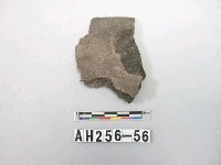 藏品(灰色夾砂陶片)的圖片